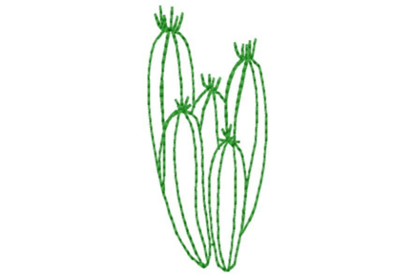 Southwestern Cactus Outline: A Designer’s Honest Review