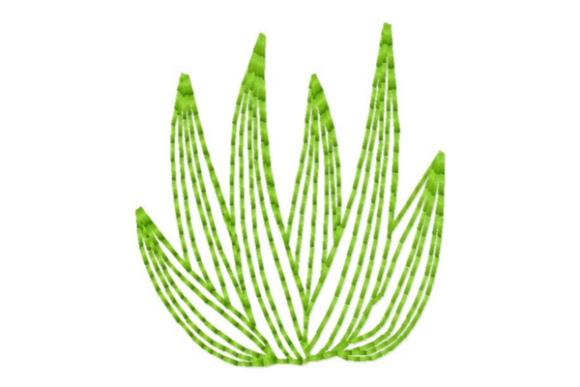 Succulent Leaves Outline: A Designer's Honest Review