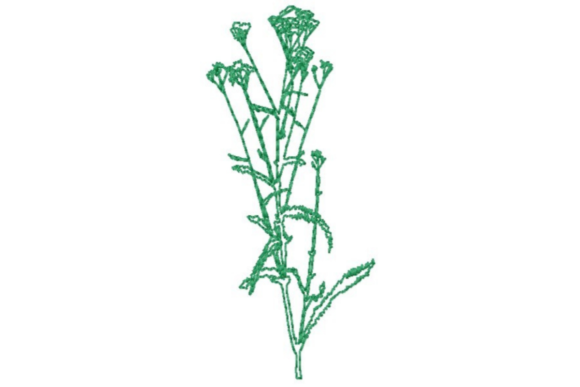 Wildflower Outline Review for Boutique Apparel